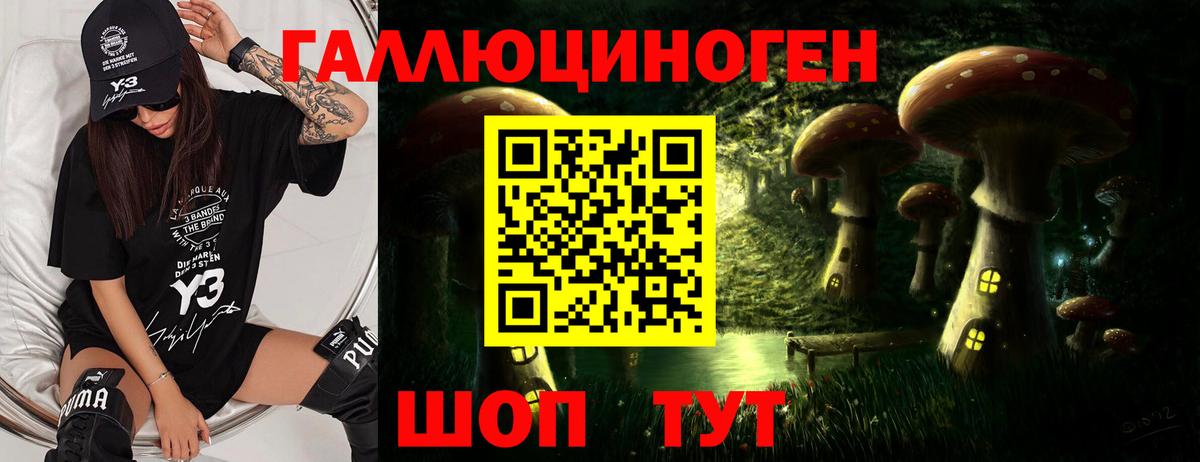 Галлюциногенные грибы прущие грибы  Вход с VPN  Армавир 